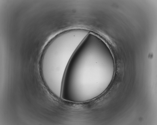 X0000097911264200803141021