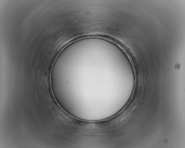X0000097911265200803141021