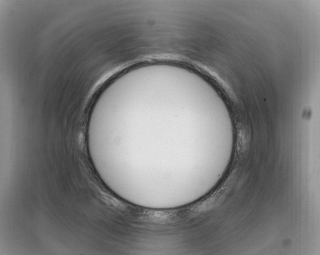 X0000097911266200803141021