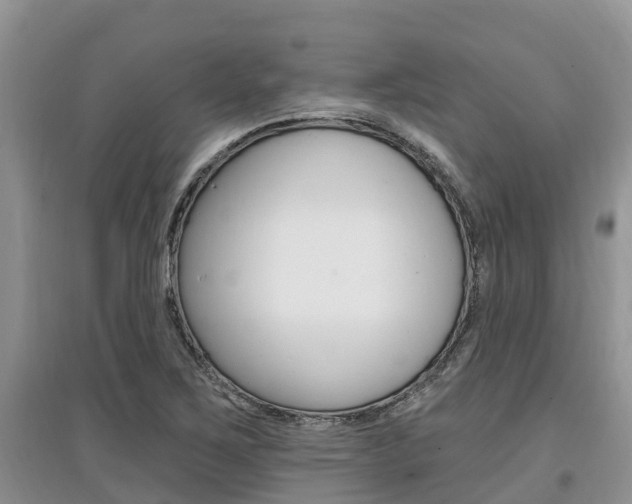 X0000097911267200803141021