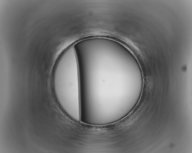 X0000097911269200803141021
