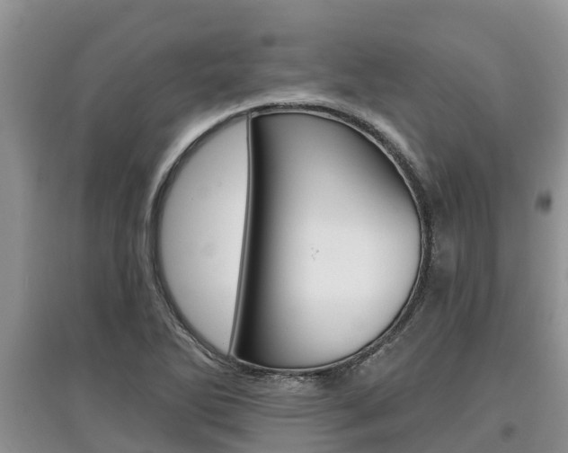 X0000097911270200803141021