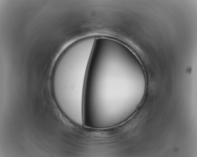 X0000097911272200803141021