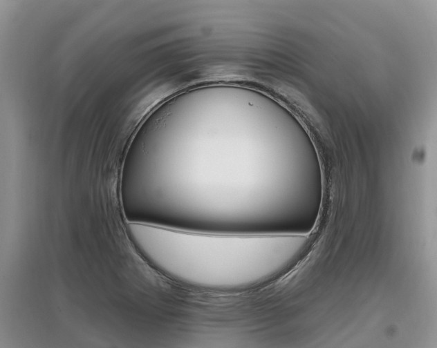 X0000097911273200803141021