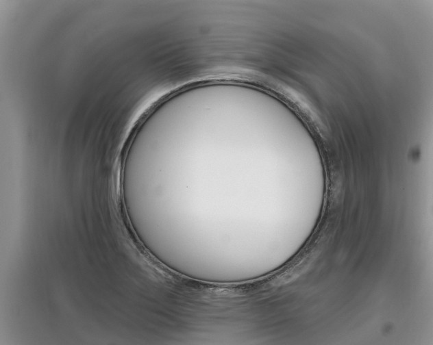 X0000097911275200803141021