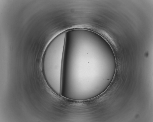 X0000097911276200803141021