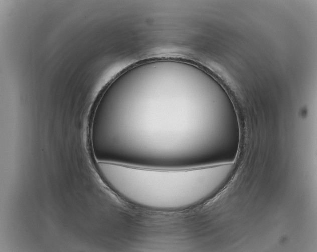 X0000097911277200803141021