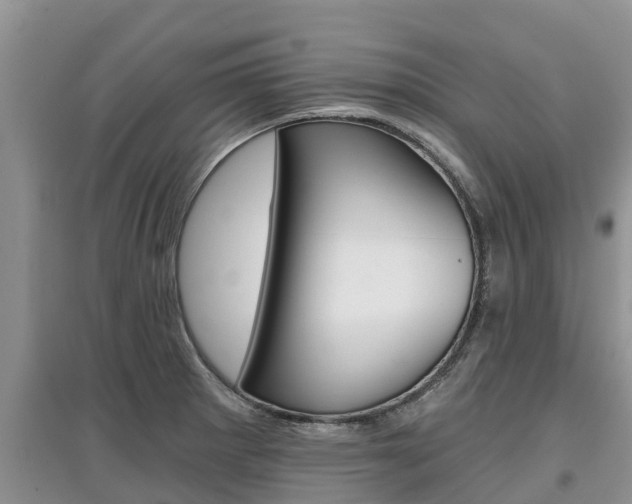 X0000097911281200803141021