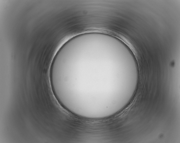 X0000097911283200803141021