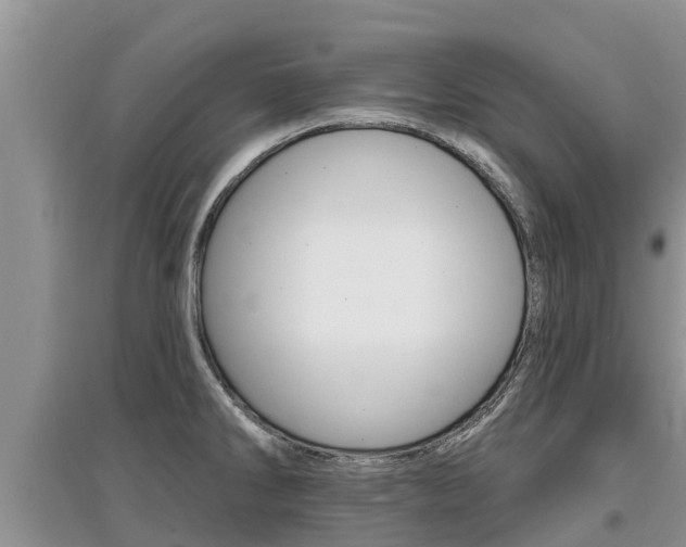 X0000097911286200803141021