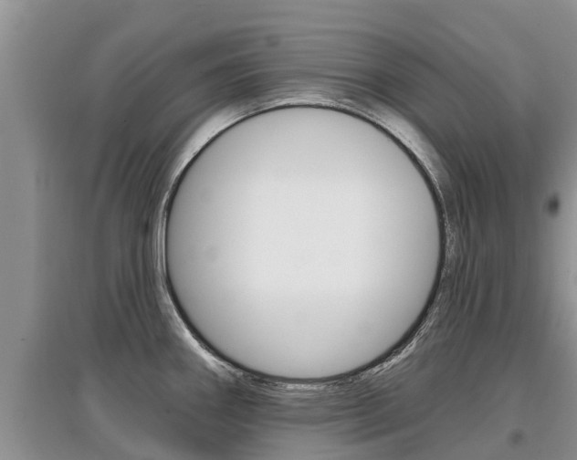 X0000097911290200803141021