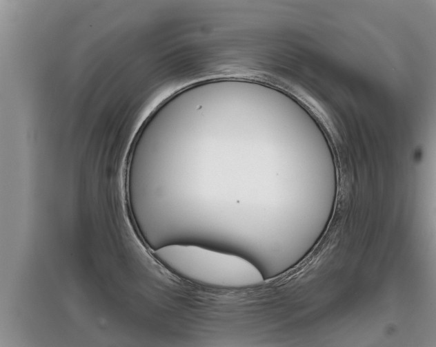 X0000097911291200803141021