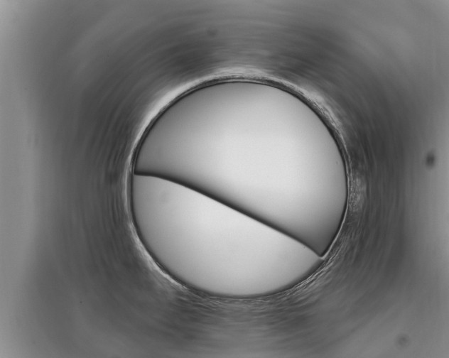 X0000097911295200803141021
