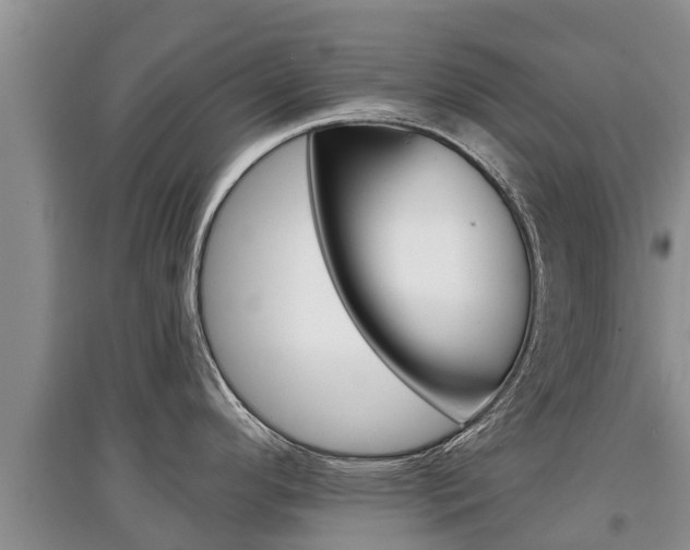 X0000097911296200803141021