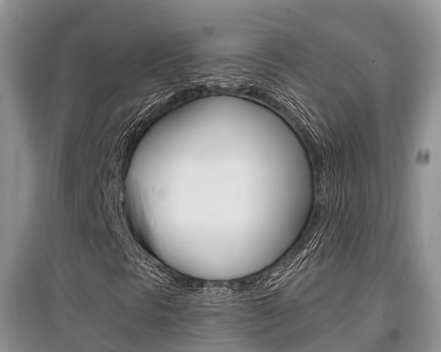 X0000097911297200803141020