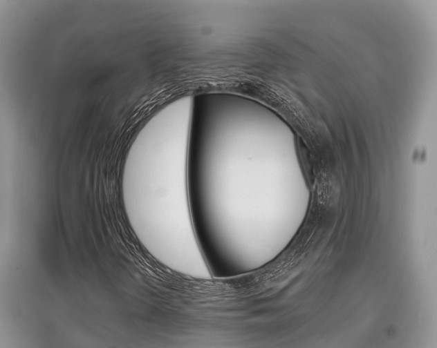 X0000097911298200803141020