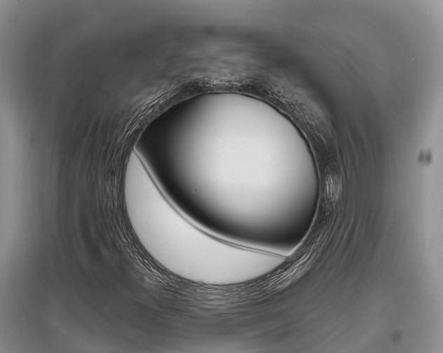 X0000097911300200803141020