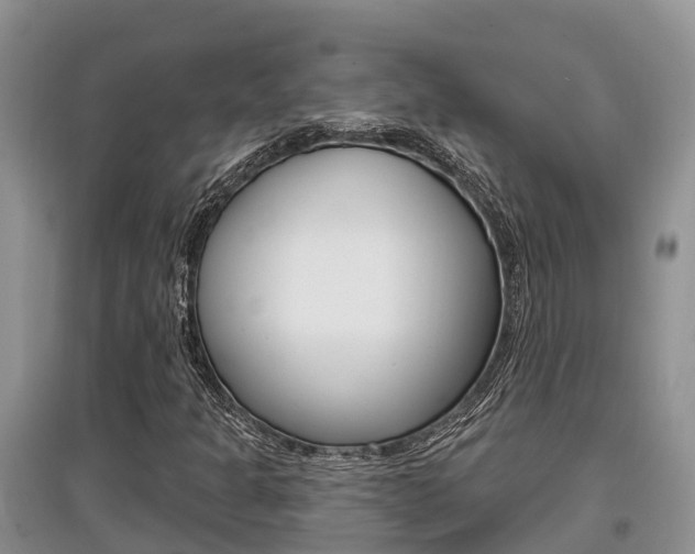 X0000097911301200803141020