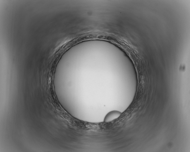 X0000097911302200803141020