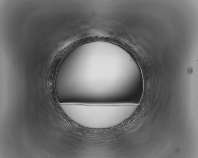 X0000097911303200803141020