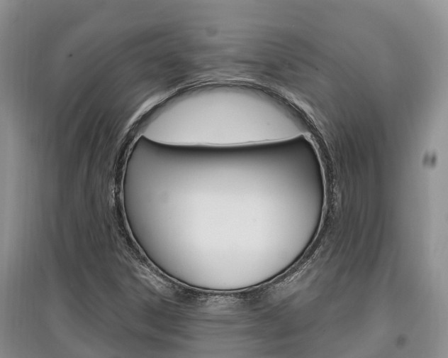 X0000097911306200803141020