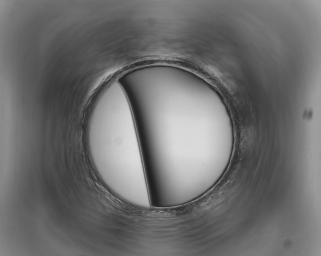 X0000097911307200803141020