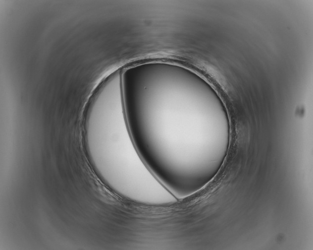 X0000097911308200803141020