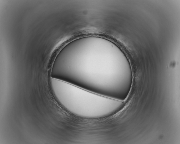 X0000097911309200803141020