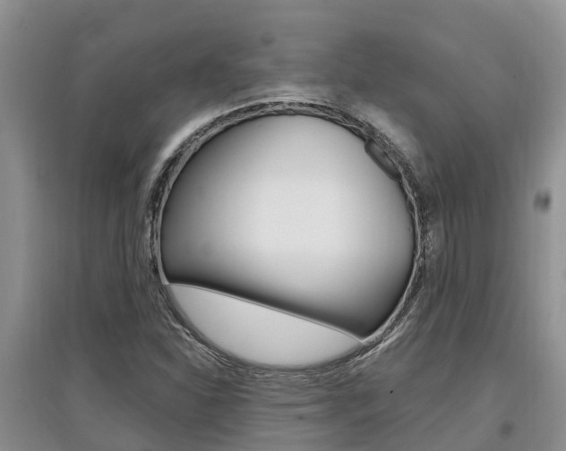 X0000097911310200803141020