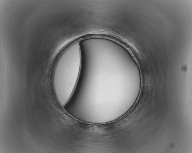 X0000097911311200803141020