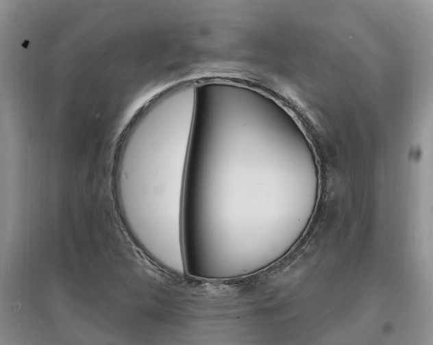 X0000097911312200803141020