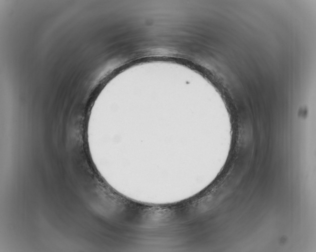 X0000097911314200803141020