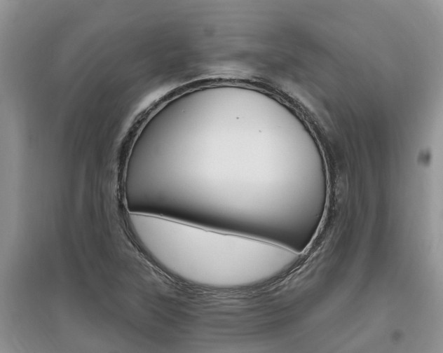 X0000097911315200803141020