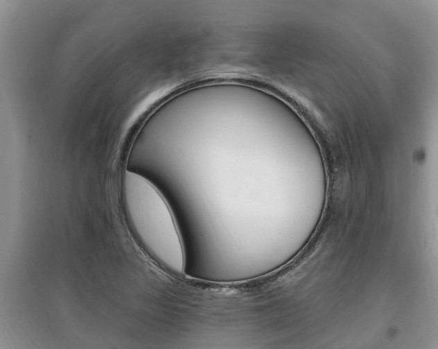 X0000097911317200803141020