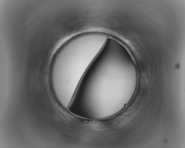 X0000097911319200803141020