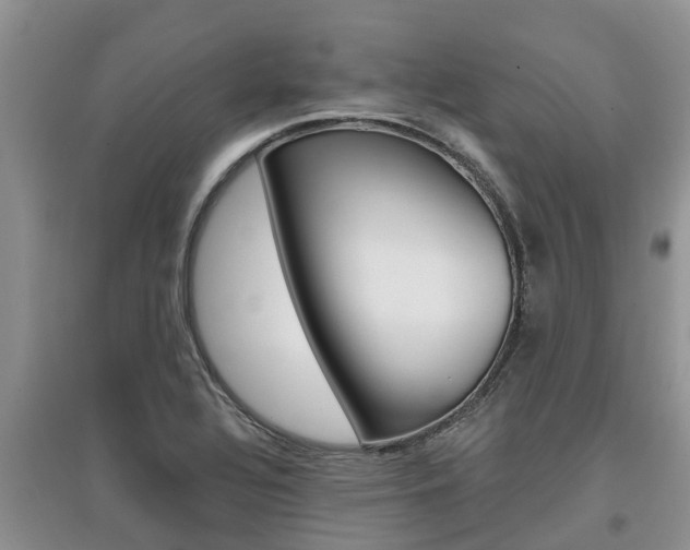 X0000097911320200803141020
