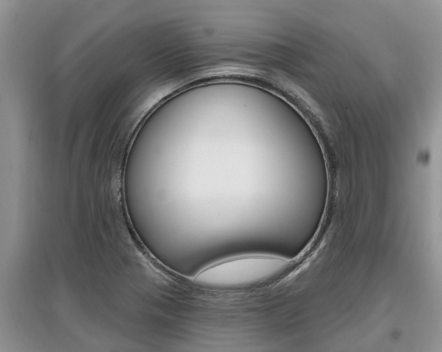 X0000097911321200803141020