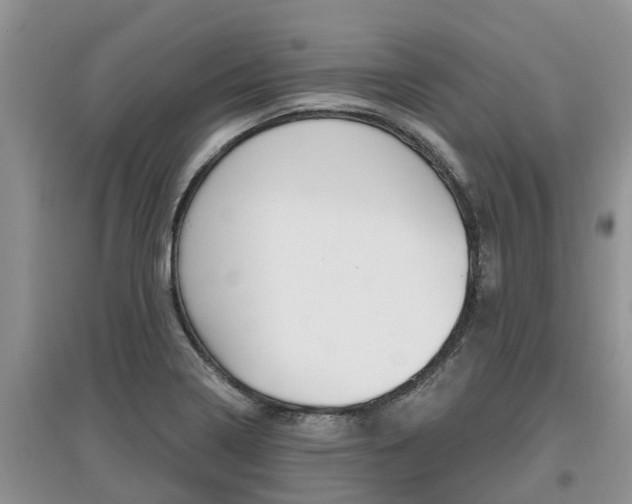 X0000097911322200803141020