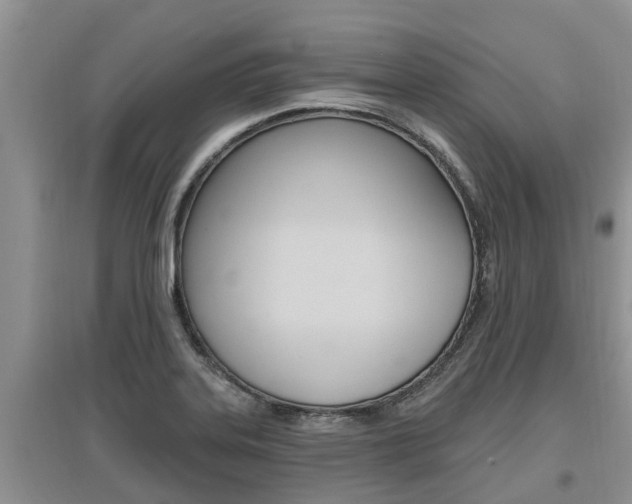 X0000097911323200803141020