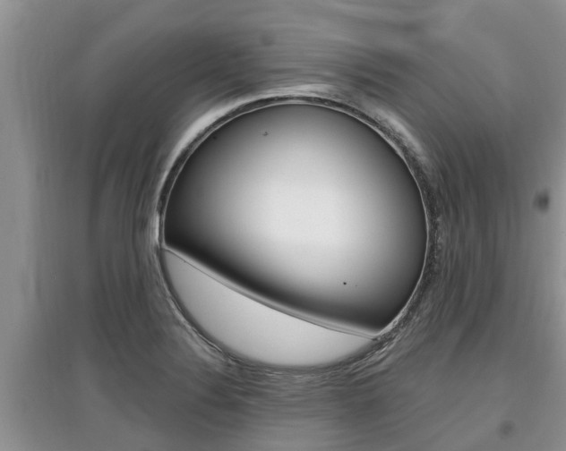 X0000097911324200803141020