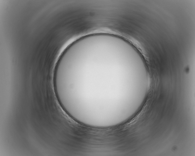 X0000097911326200803141021
