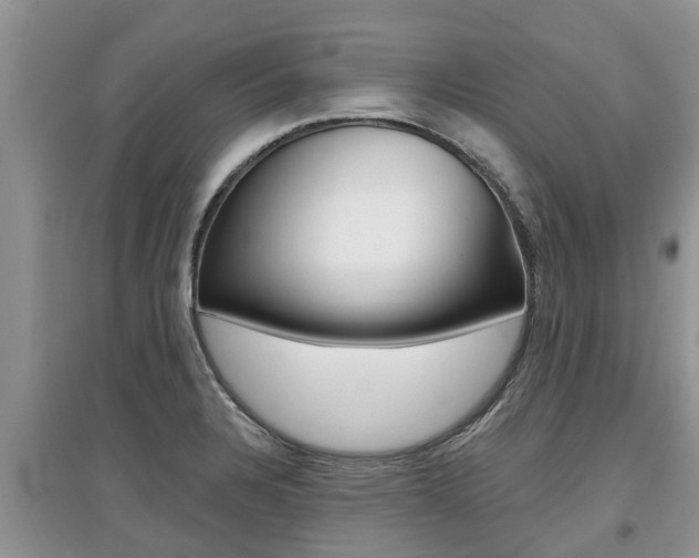 X0000097911328200803141021