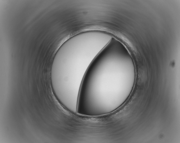 X0000097911329200803141021