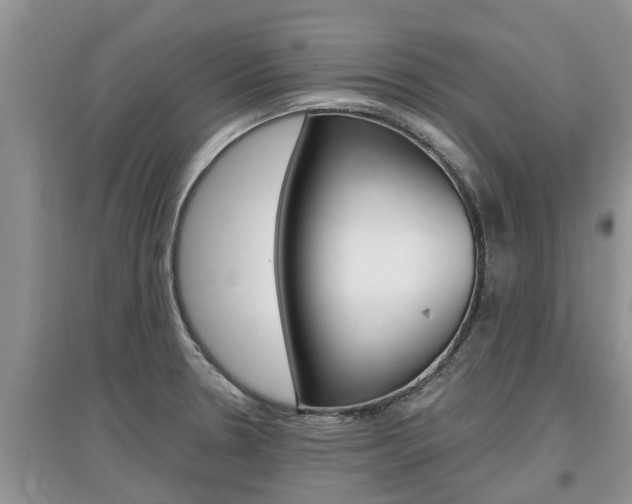 X0000097911330200803141021