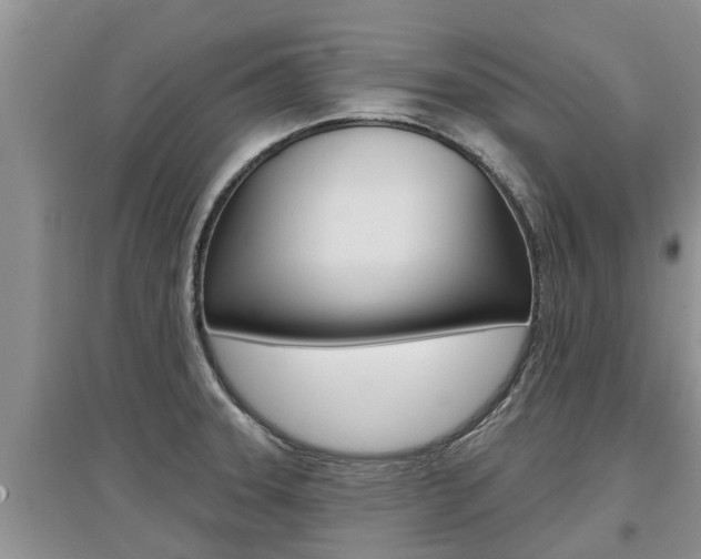 X0000097911331200803141021