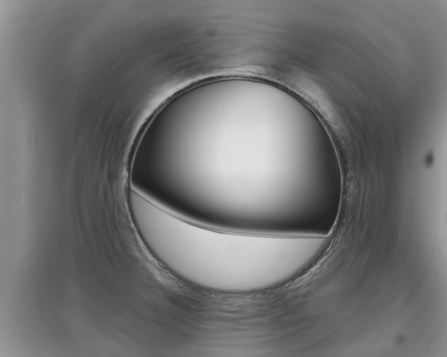 X0000097911332200803141021