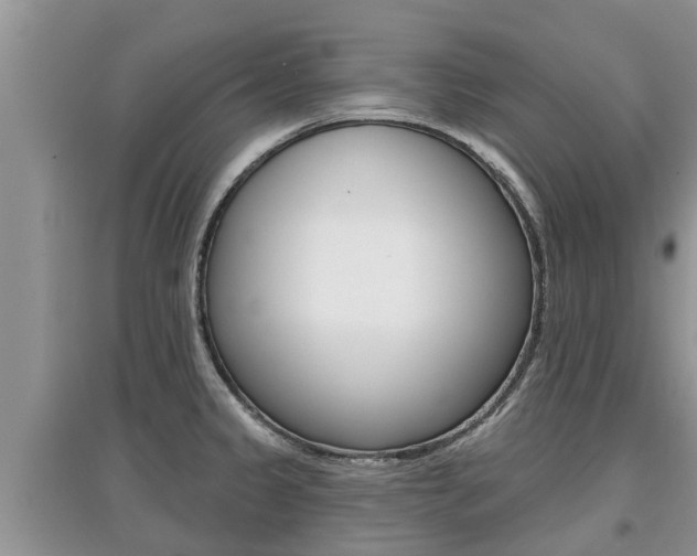 X0000097911333200803141021