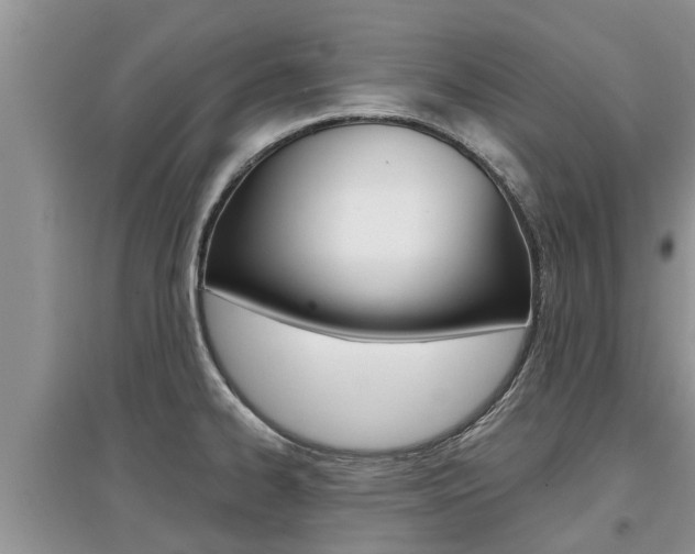 X0000097911334200803141021