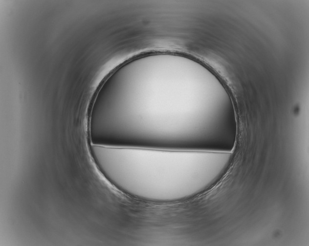 X0000097911335200803141021