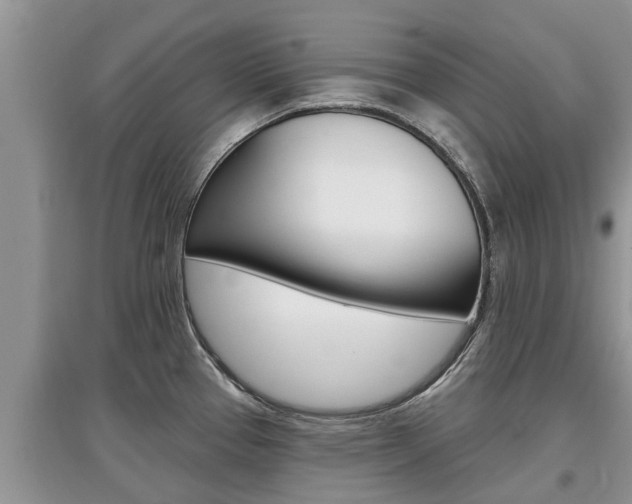 X0000097911337200803141021